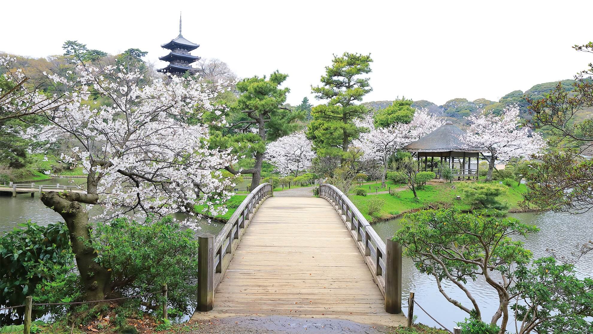 DC特別企画特集