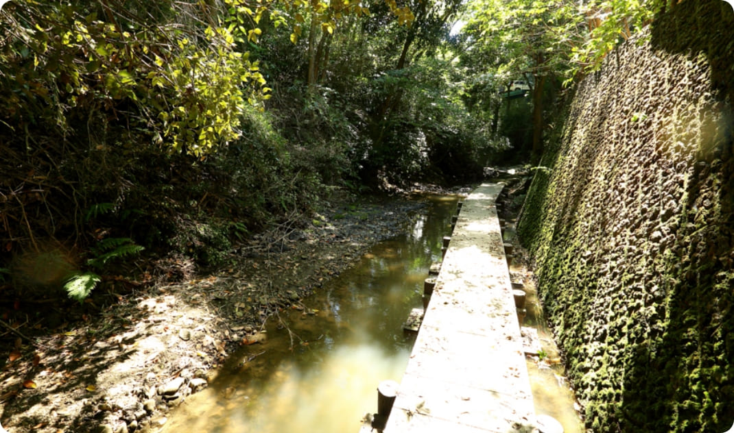 [写真] 漁港の船