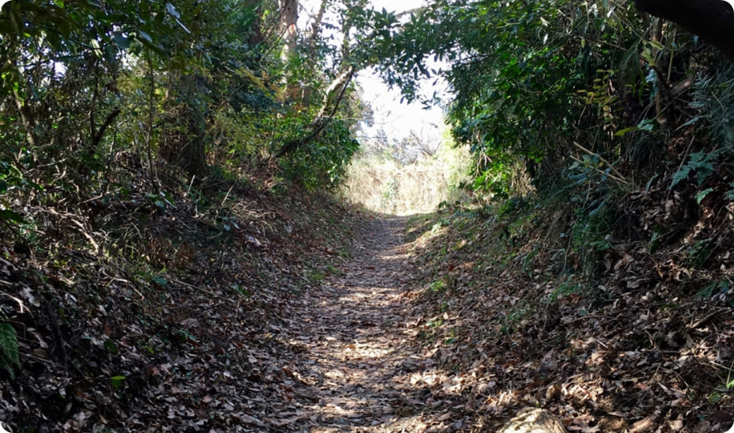 [写真] 海鮮の丼