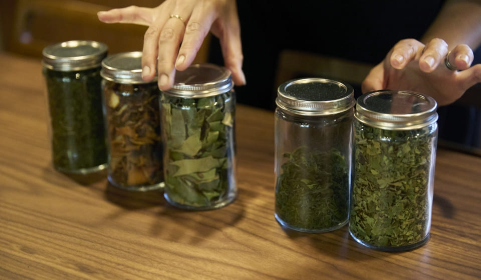 [写真] 瓶に入った野草茶の素材を並べる様子