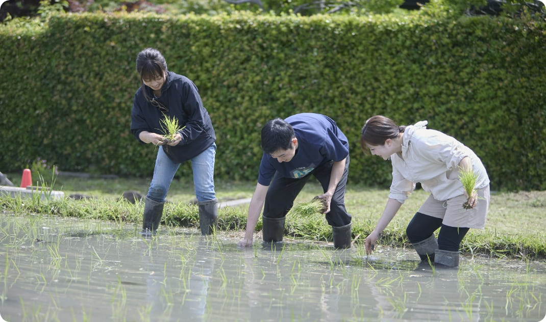 [写真] 田んぼで苗に触れながら農作業を体験する様子