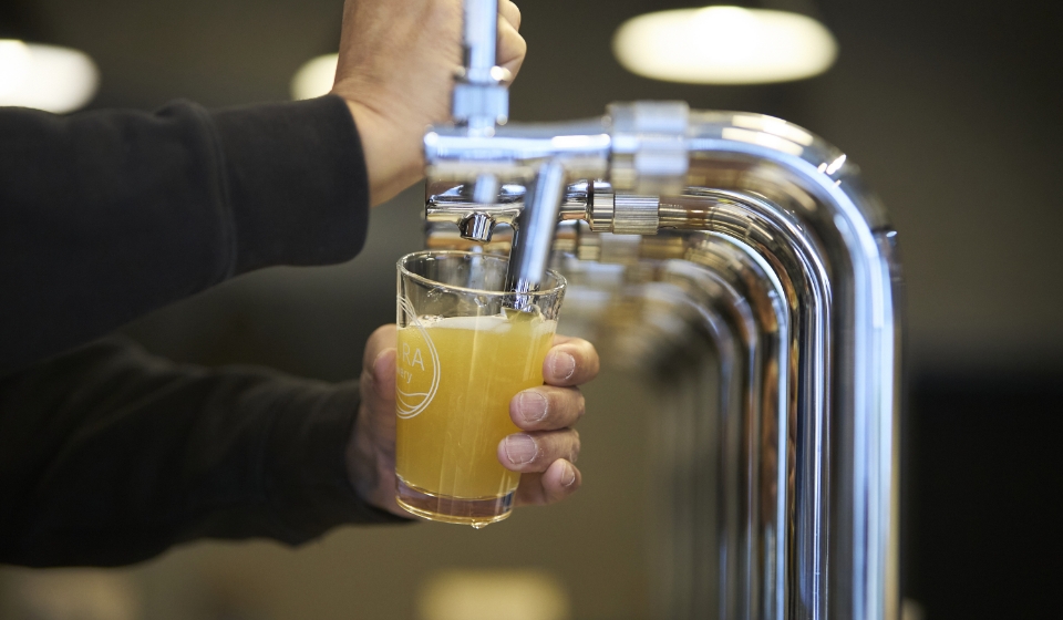 [写真] ビールサーバーからグラスに注がれるクラフトビールの様子