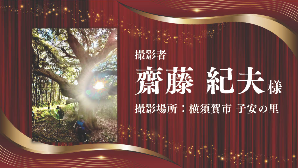 [写真] 秋谷・芦名・佐島エリア賞 佐藤紀太様の受賞作品