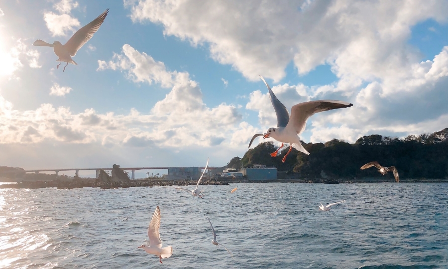 写真
