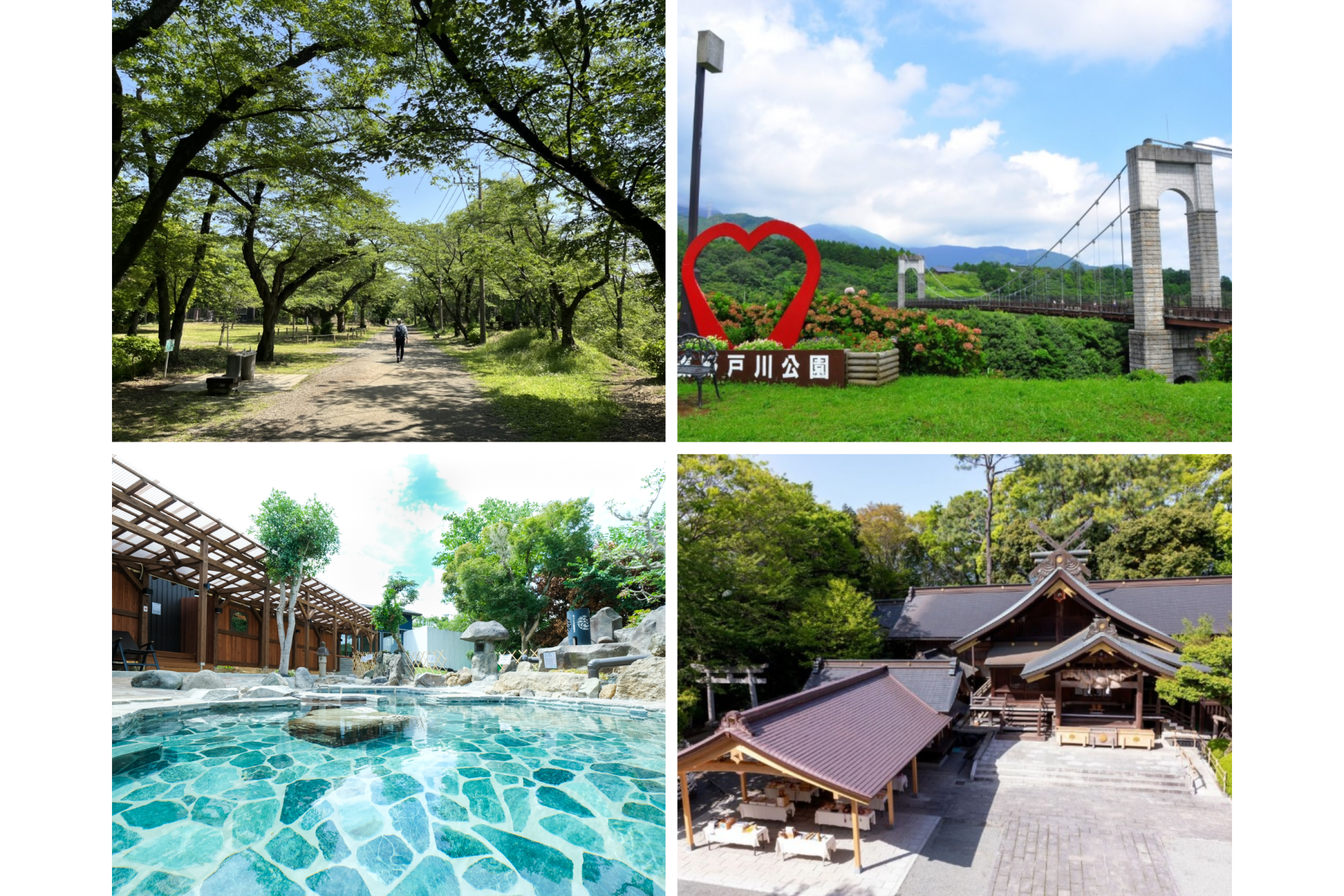 自然の中でパワーチャージ！自然散策と七沢温泉の癒し大人旅