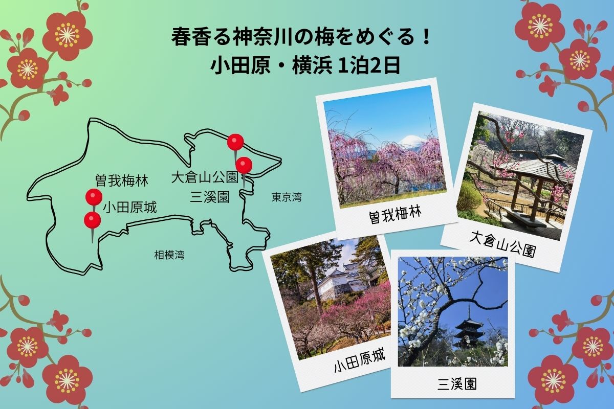 神奈川 梅 の 名所