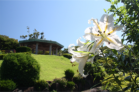 ⼤磯城山公園