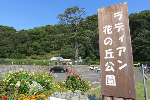 ラディアン花の丘公園