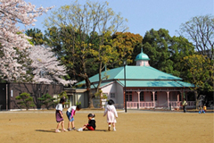八幡山公園
