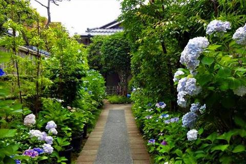 鎌倉市鏑木清方記念美術館