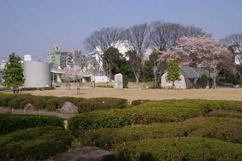 湘南台公園