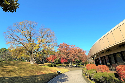 はだの歴史博物館