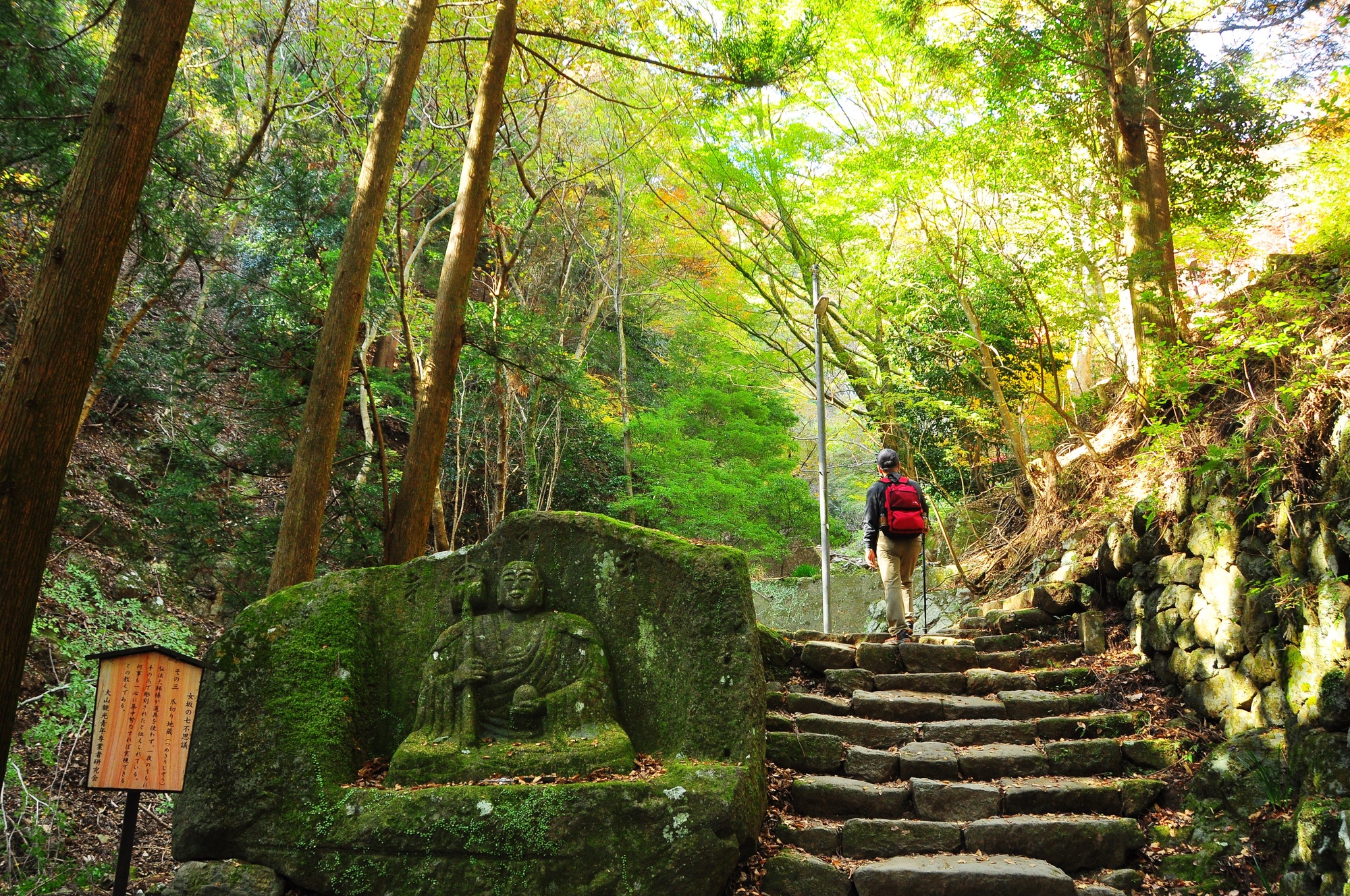 「かながわ やまなみエリア」をもっと知る！