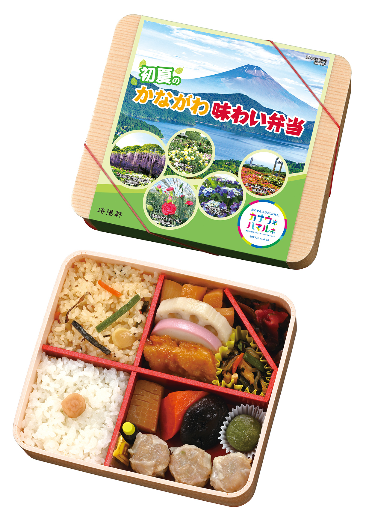 崎陽軒「初夏のかながわ味わい弁当」の掛け紙に登場！