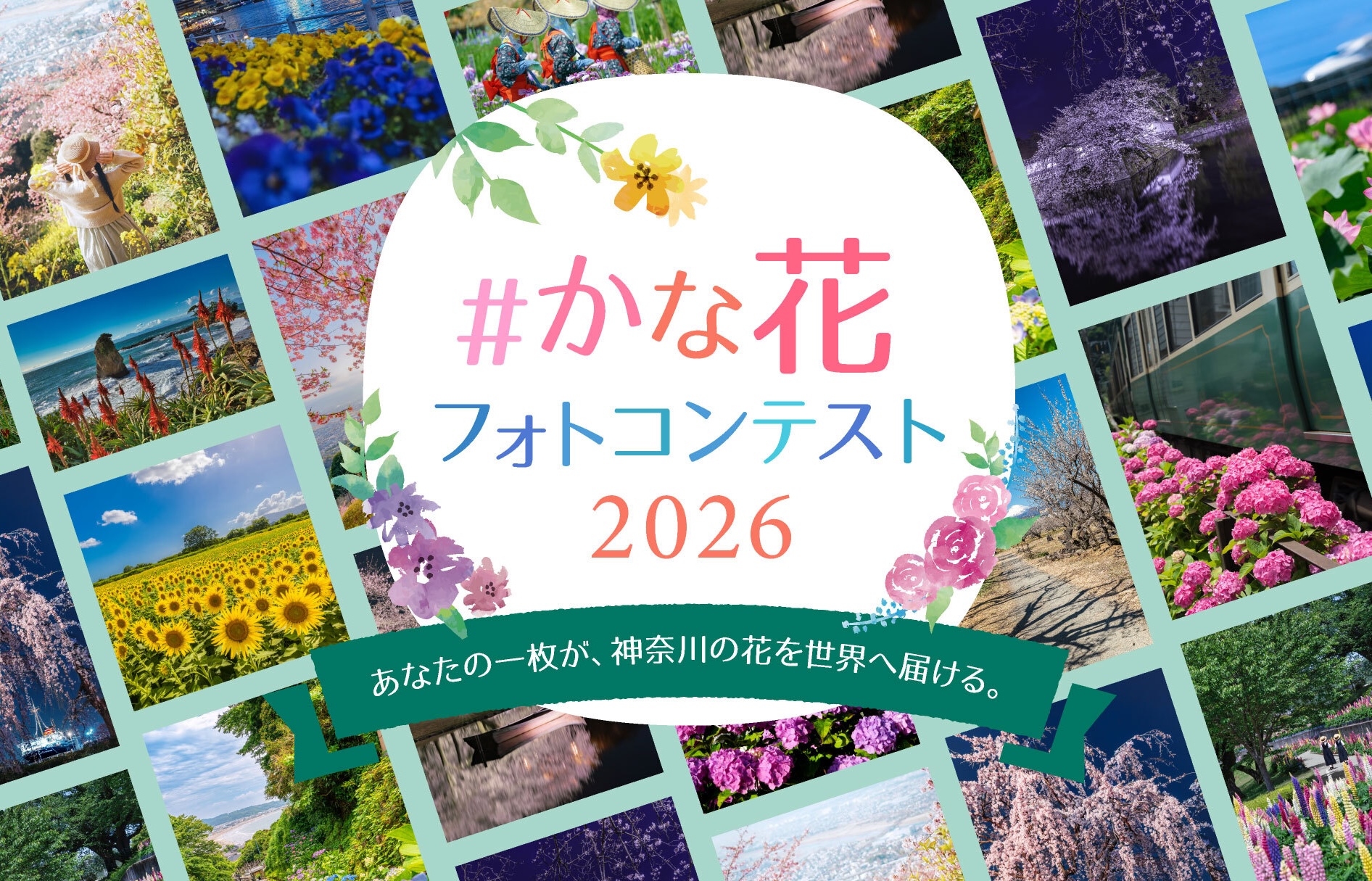 「#かな花フォトコンテスト2026」を2026年7月30日から11月30日まで開催中！
