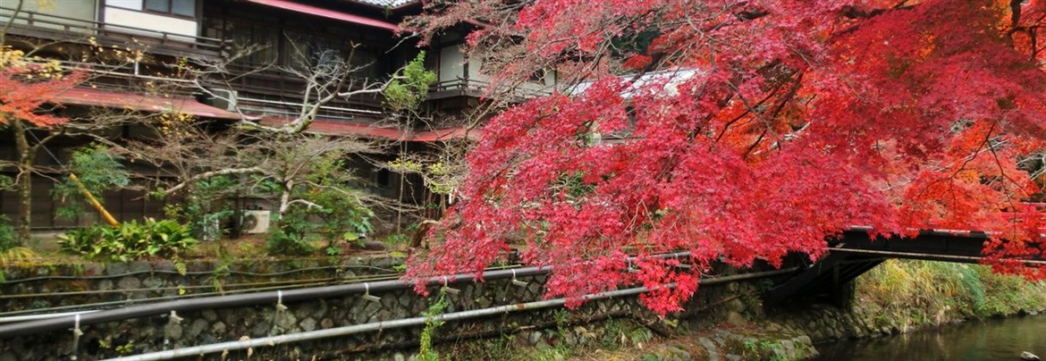 癒しの湯・湯河原温泉を訪ね、その歴史を知る【歴旅コラム】