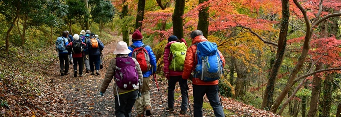 ハイキングに最適、弘法山【歴旅コラム】