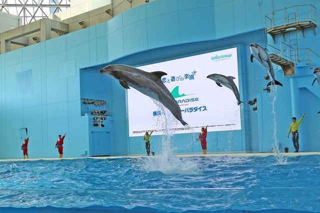 横浜・八景島シーパラきっぷでいいとこどり！横浜金沢エリアを巡ってみよう！