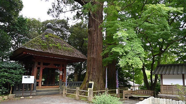 日本遺産認定「大山詣り」を体感！日本三薬師、グルメ、宿坊を満喫しよう