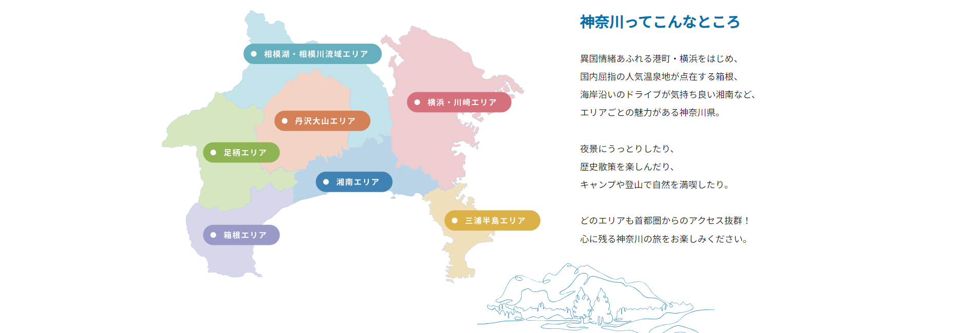 【三色錦メダカ 成魚 ペア+1匹】 神奈川県から