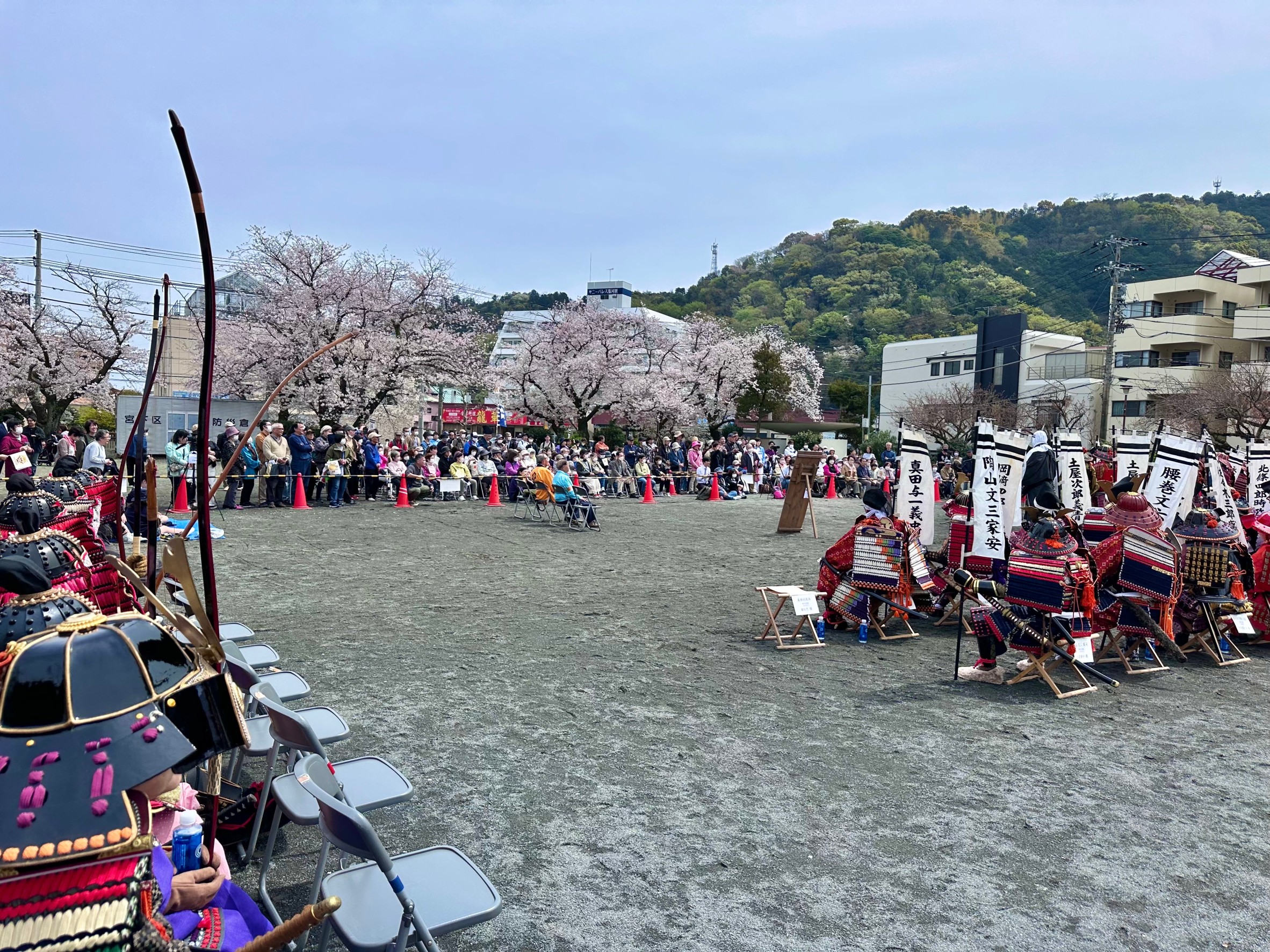 20241122122044_00_メイン桜咲く