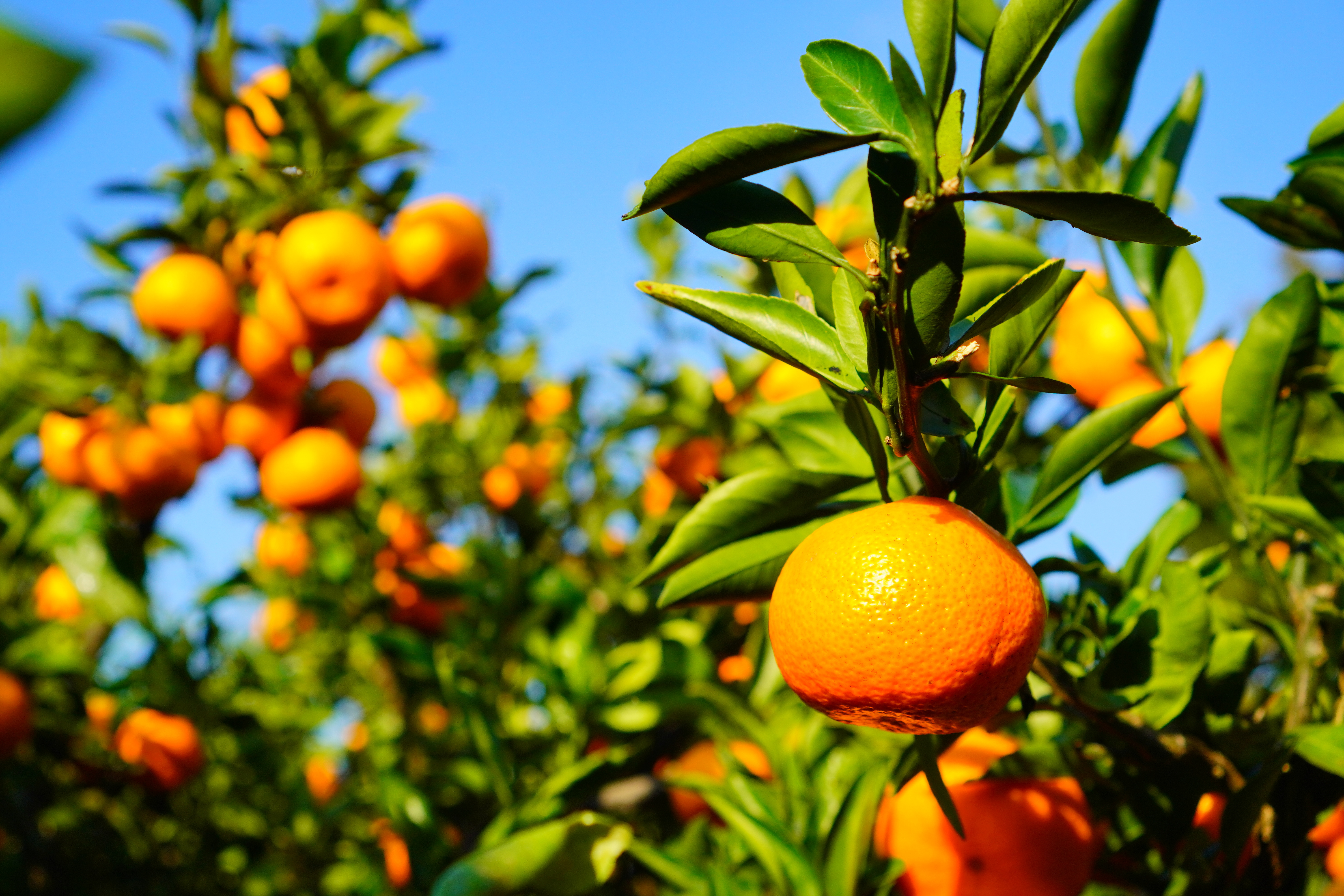 湘南西エリアで発見！心に残る「体験・学び」スポット
