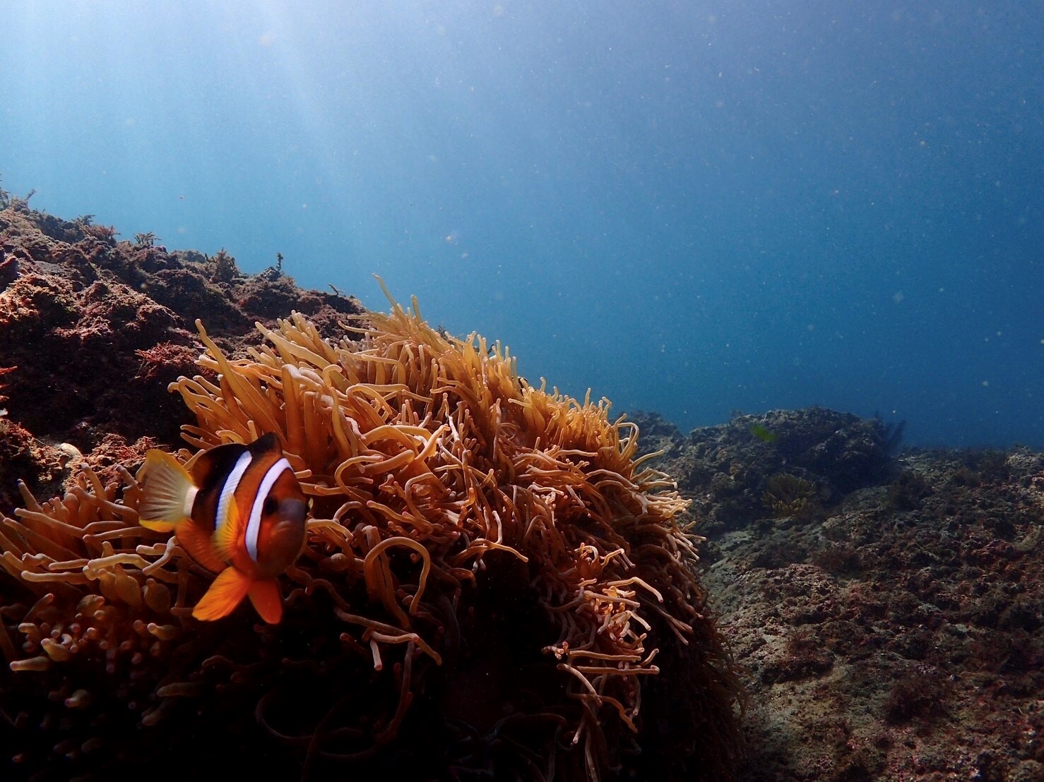 三浦半島エリアで楽しむスポーツ体験スポット特集