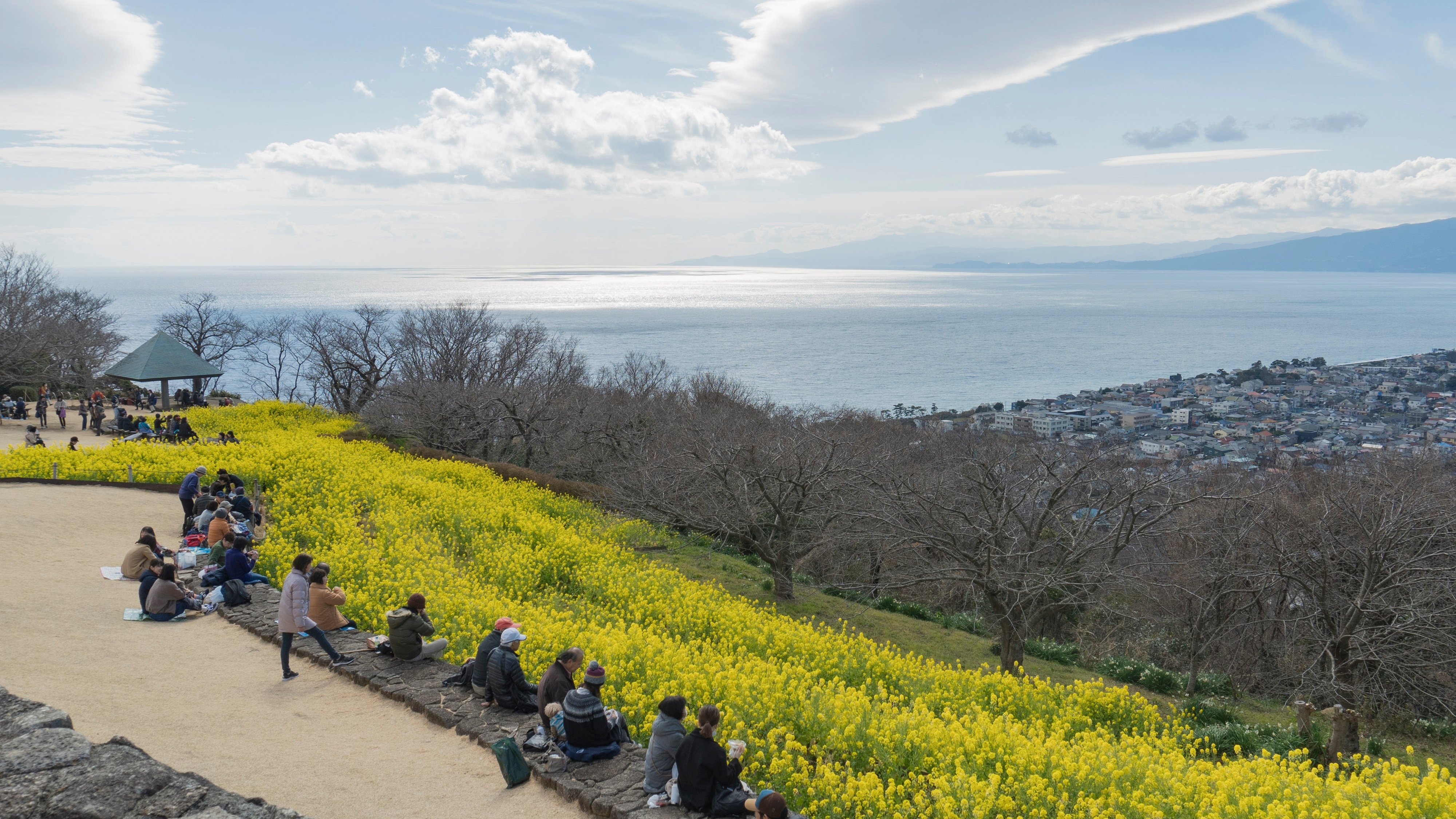 湘南西エリアで満喫！花と緑の自然スポット