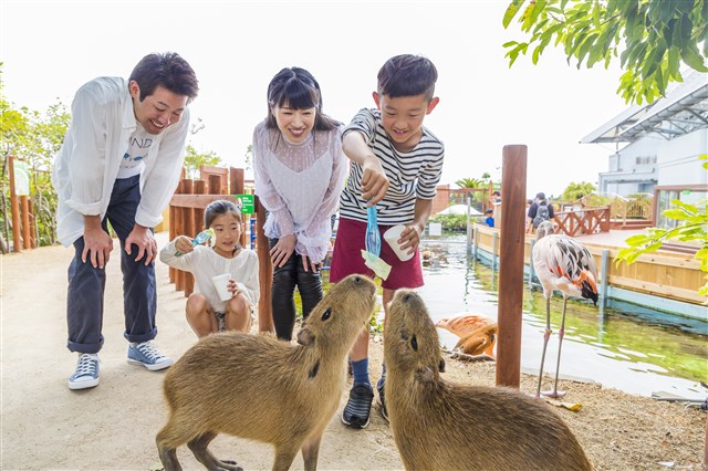 写真はイメージです