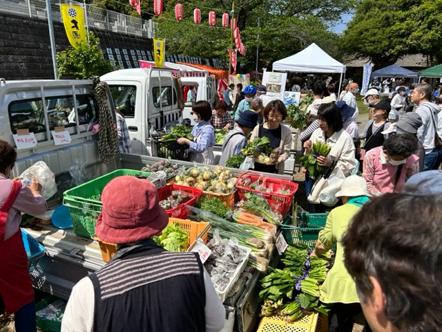 茅ヶ崎産野菜販売