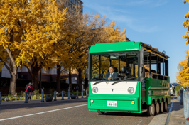 「グリーンスローモビリティ」乗車券