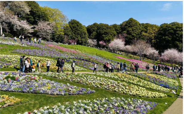 「GREEN×EXPO 2027」1年前カウントダウン展示 里山ガーデン（里山ガーデンフェスタ）