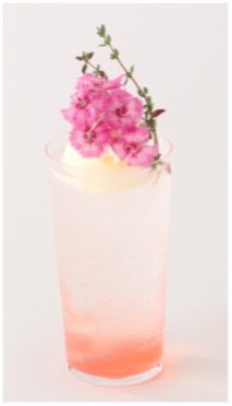 桜マシマシ！春のクリームソーダ