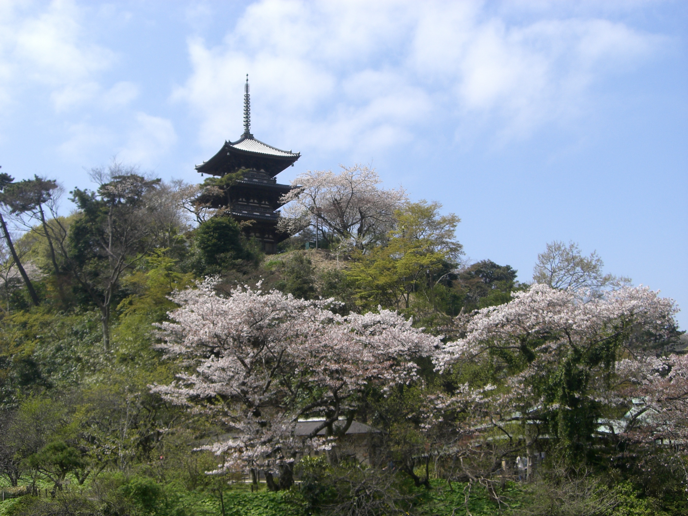 横浜三溪園（横）