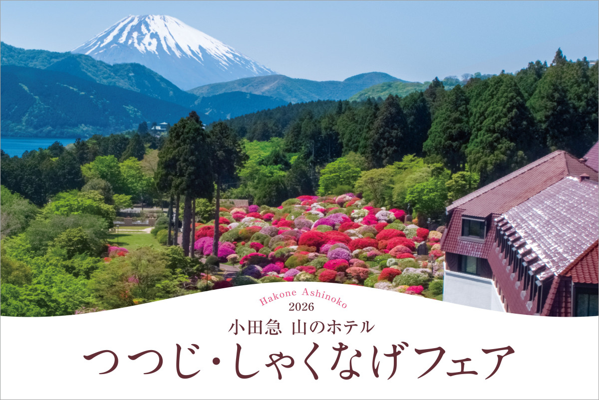 小田急 山のホテル 「つつじ・しゃくなげフェア2026」の画像