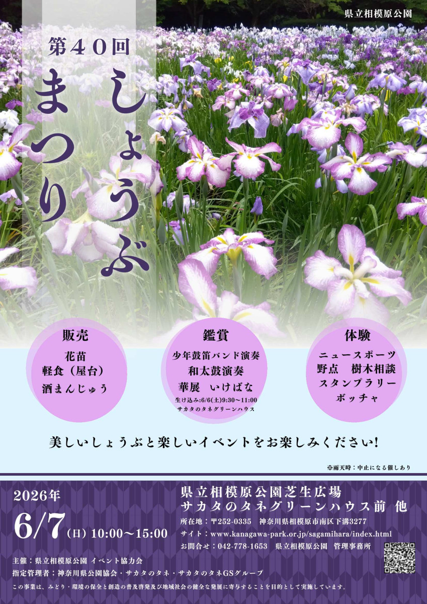 県立相模原公園「第40回 しょうぶまつり」の画像