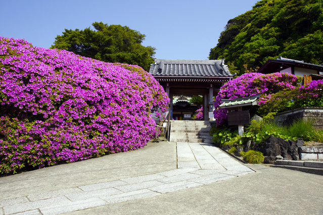 安養院