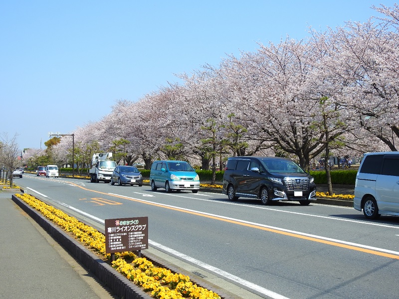 さむかわ中央公園