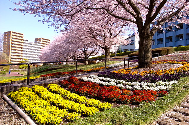 座間市かにが沢公園