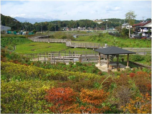 蟹ヶ谷公園