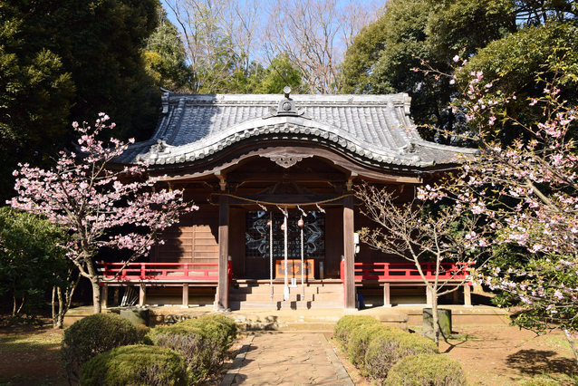 吾妻神社