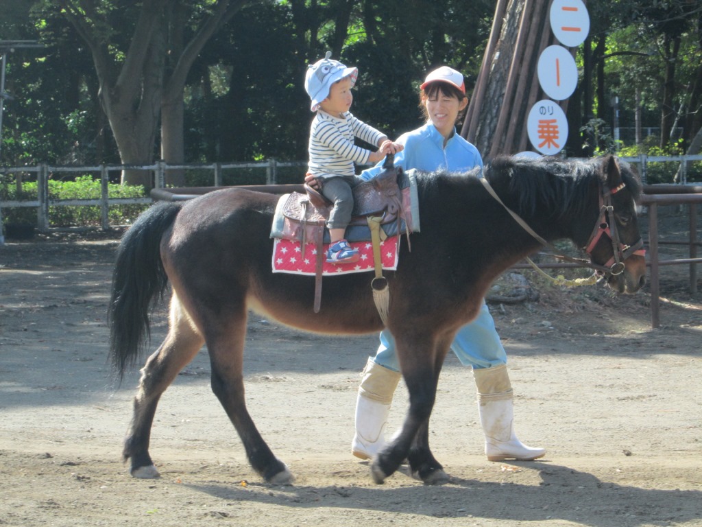 ふれあい動物園