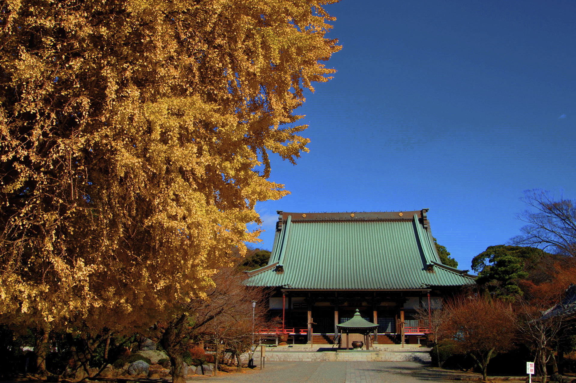 藤澤山 無量光院 清浄光寺（遊行寺）｜体験・観光スポット