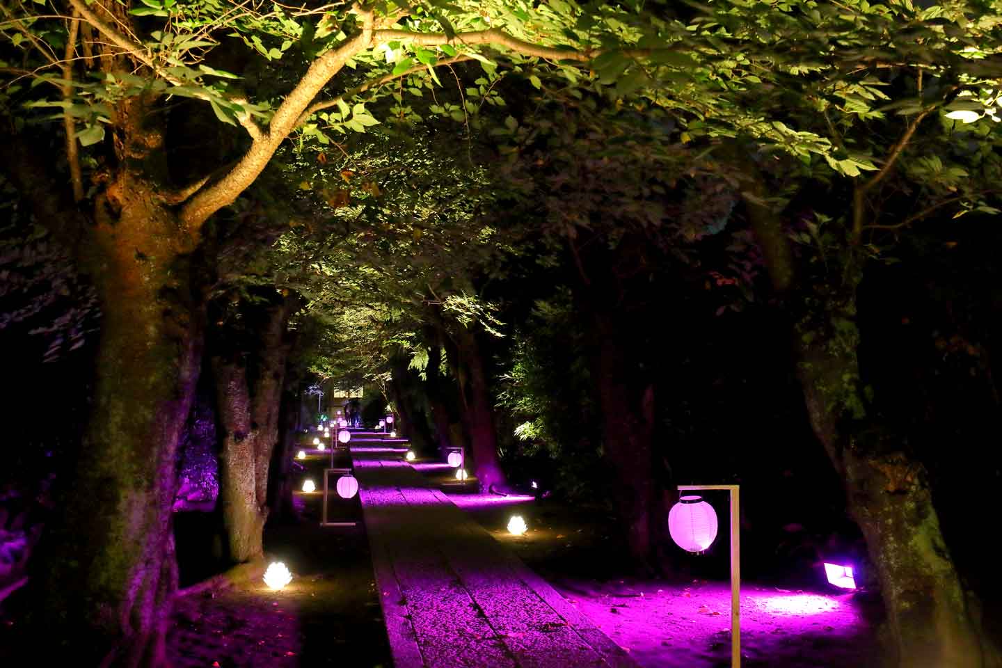 極楽寺【鎌倉市】