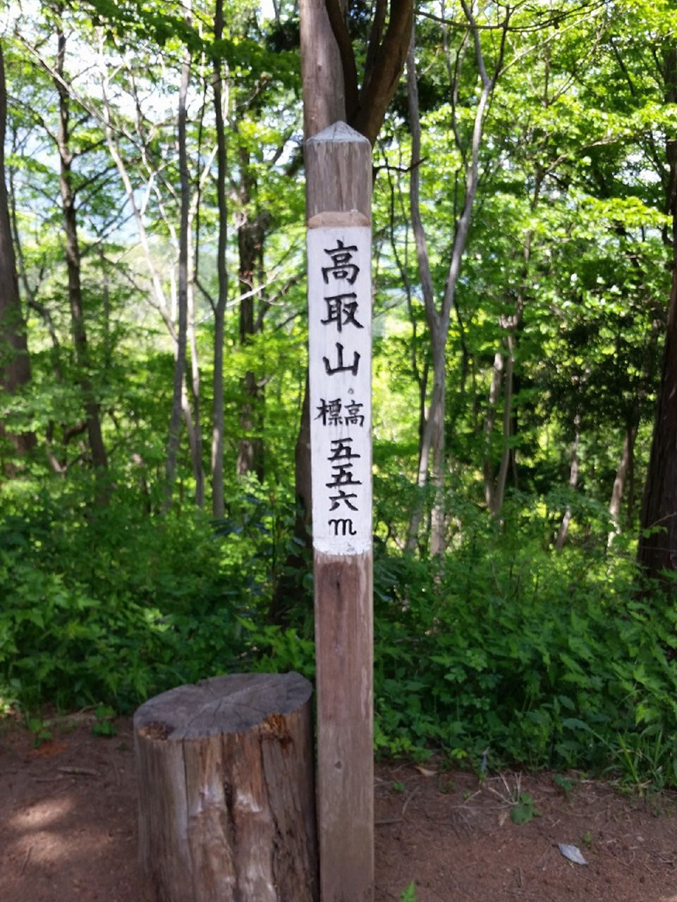 高取山【秦野市】｜体験・観光スポット ｜【公式】神奈川県のお出かけ・観光・旅行サイト「観光かながわNOW」