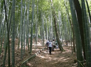 遠藤竹炭祭り