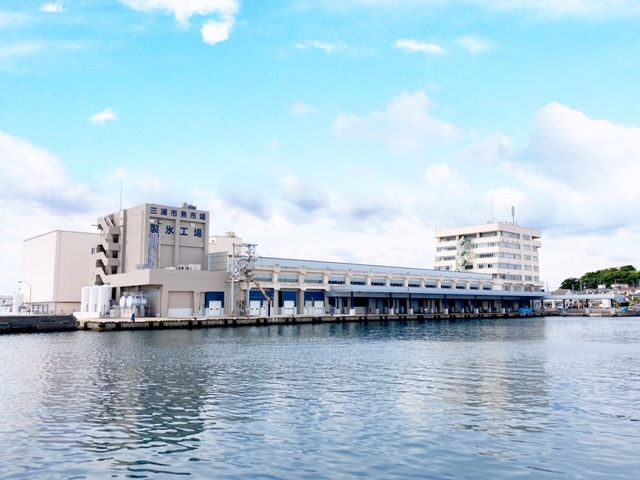 三浦市三崎水産物地方卸売市場（みさき魚市場）