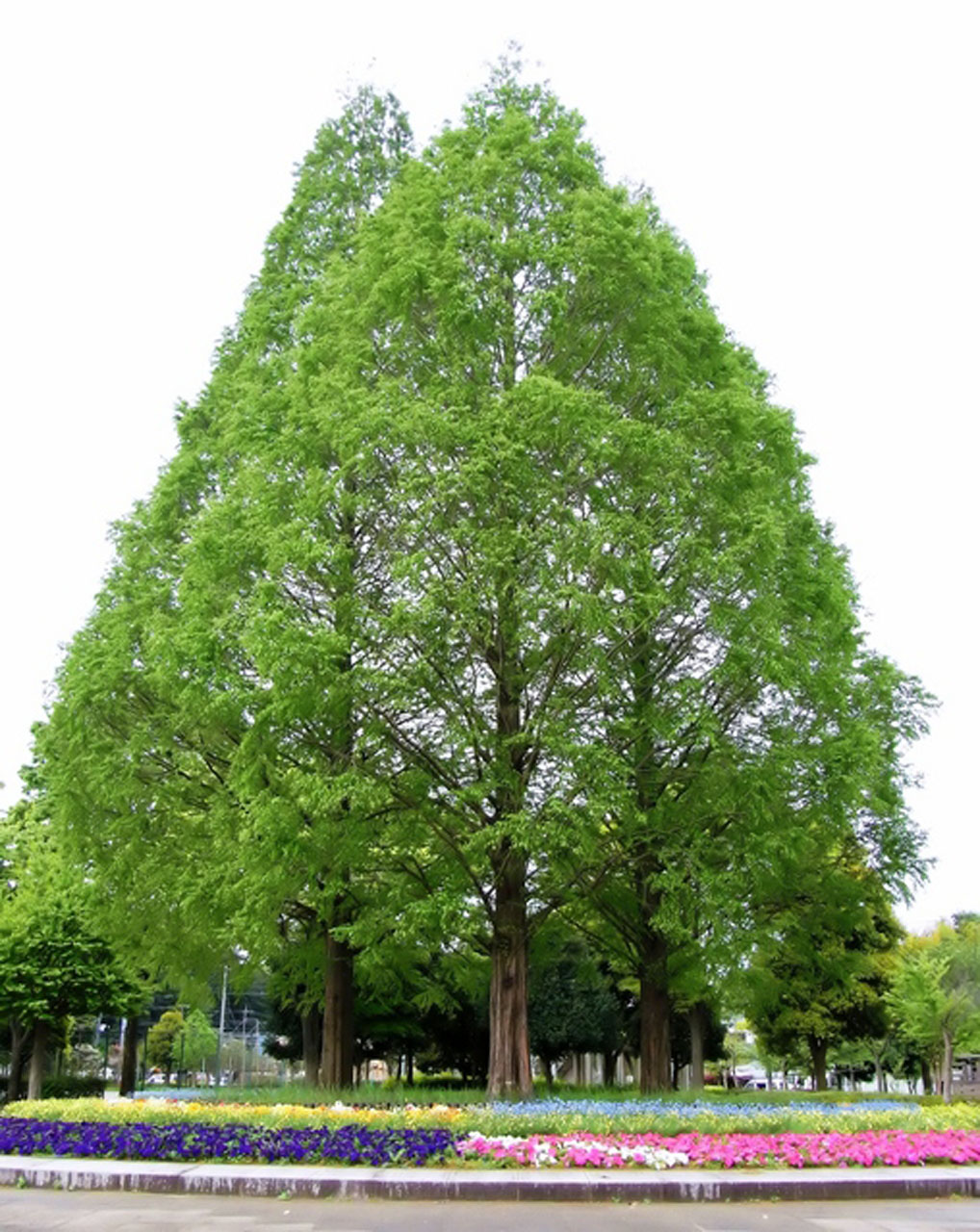 舟地蔵公園｜体験・観光スポット ｜【公式】神奈川県のお出かけ・観光・旅行サイト「観光かながわNOW」