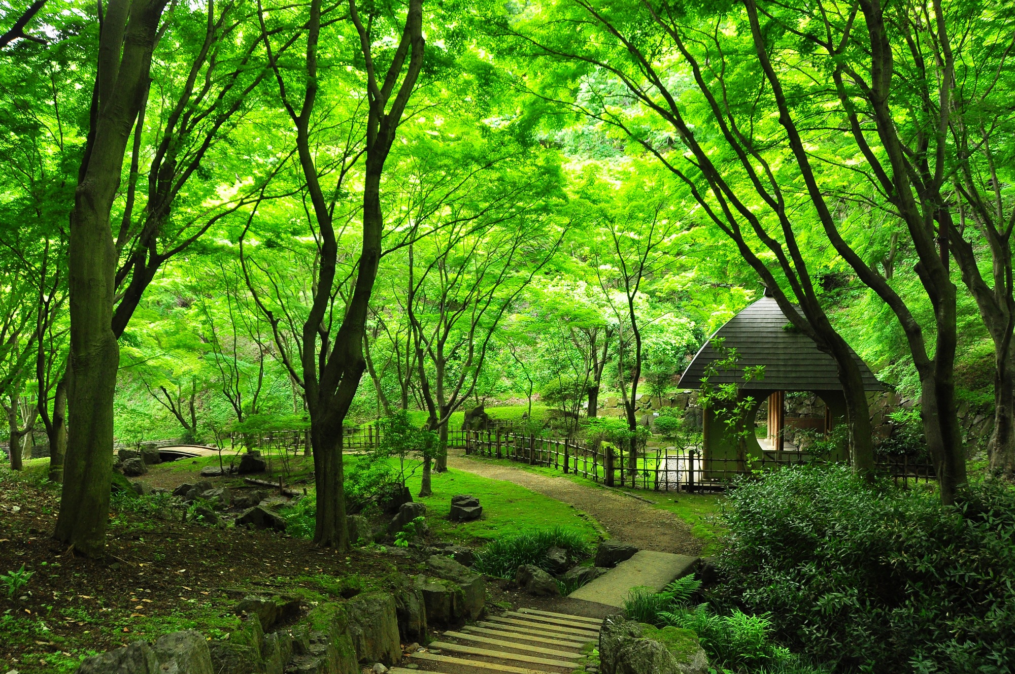 県立七沢森林公園【厚木市】