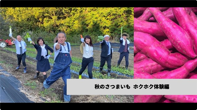 さつまいも掘り（観光農園「Blueberry HILLS あつぎ」）